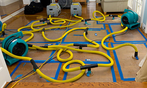 Professional Water Damage Restoration technician working in Waukegan, IL